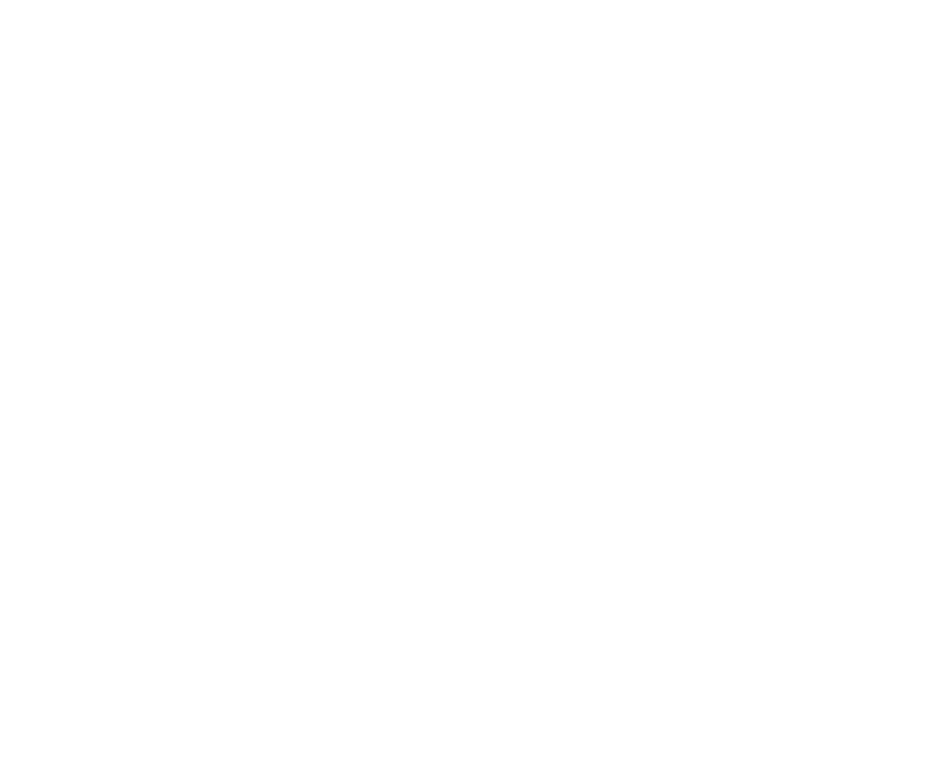 Lake Bryan Logo